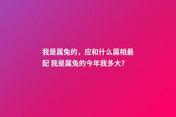 我是属兔的，应和什么属相最配 我是属兔的今年我多大？-第1张-观点-玄机派